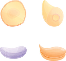 Poster - Garlic icons set cartoon vector. Fresh organic garlic. Farm vegetable