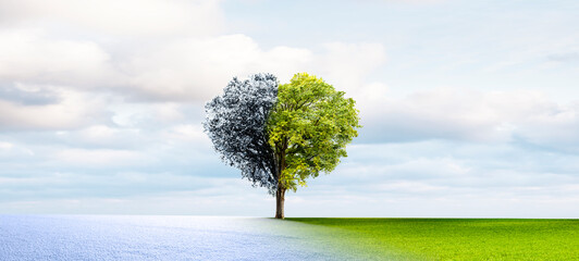 Canvas Print - Jahreszeitenwechsel von Winter zu Frühling und sommer