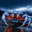 macro photography of giant alaska crab