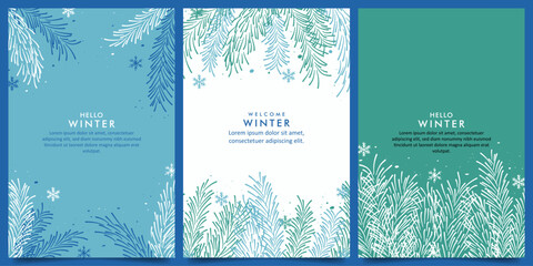 Wall Mural - collection winter vector design background with pine branches and snowflakes theme design template. 