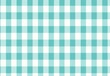 Cute trendy turtoise simple gingham checkered pattern background template design.