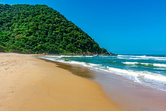 Deserted beach with preserved forests in Guarujá on the north coast of the state of Sao Paulo