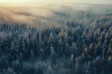 Poster - A stunning aerial view of a forest covered in a blanket of snow. Perfect for winter landscapes and nature scenes