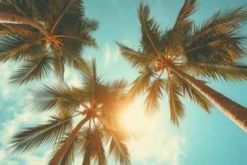 Aufkleber - Two palm trees with the sun shining through them. Perfect for tropical vacation or beach-themed designs