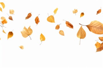 Poster - Leaves flying in the air, creating a beautiful and dynamic scene. Perfect for nature or autumn-themed designs