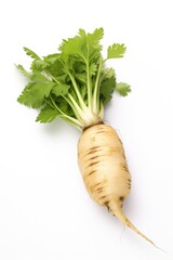 Poster - A detailed view of a radish placed on a clean white surface. This image can be used for various purposes, such as illustrating fresh produce, healthy eating, or gardening