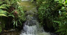 A Distant View Of A Waterfall Amidst Dense Greenery. Slow Motion. Pano