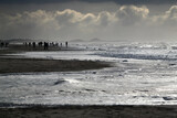 Fototapeta  - Krajobraz dramatyczny, Morze Północne w Holandii podczas sztormu.