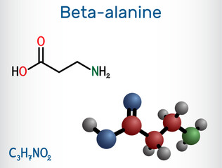 Poster - Beta-alanine or β-Alanine molecule. It is naturally occurring beta amino acid. Structural chemical formula and molecule model.