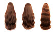 Brunette hair set isolated on a white background - various styles, lengths, shades. Glamour woman hair - brown hair