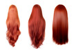 Red hair set isolated on a white background - various styles, lengths, shades. Glamour woman hair - auburn hair - ember hair - redhead - raven haired back view