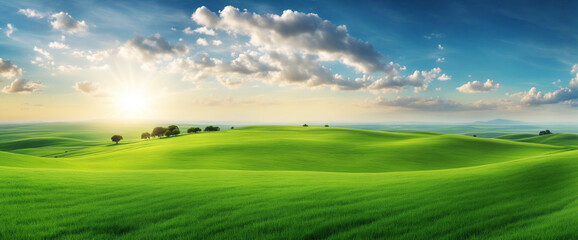 Wall Mural - Expansive scenery of green grass, blue sky, and clouds on hilltop. Spacious banner for text or product placement.