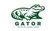 gator logo illustration, design of a baby alligator or crocodile green vector logo concept