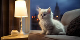 Fototapeta  - Gato branco dentro de casa deitado no sofá ao entardecer com uma janela desfocada ao fundo - Papel de parede 