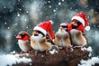 Cute funny merry Christmas sparrows in the New Year with a red cap with little red hats during a snowfall. Merry Christmas and Happy New Yea