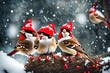 Cute funny merry Christmas sparrows in the New Year with a red cap with little red hats during a snowfall. Merry Christmas and Happy New Yea