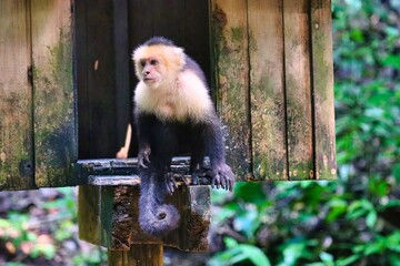 Canvas Print - Roatan, Honduras