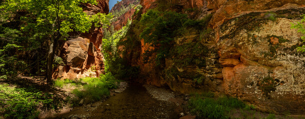 Wall Mural - Panoramic Entrace to Bear Trap Canyon In Zion