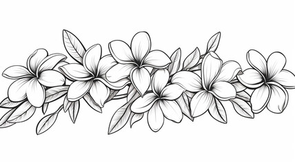 Plumeria flowers in continuous line art drawing style design