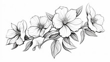 Wild Rose Flower Drawing Illustration With Line Art Floral