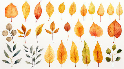 Wall Mural - set of watercolor autumn leaves isolated on white background