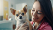 © Sarbinaz Mustafina - Chihuahua dog in the hands of a female veterinarian. Veterinary office. Veterinary medicine. Generative AI