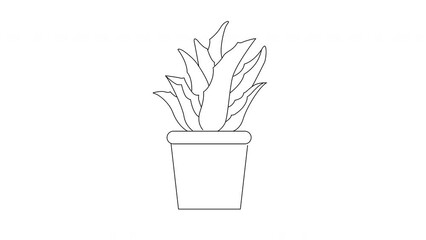 Sticker - animated sketch of the aloe vera plant icon