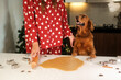 Making gingerbread for Christmas. A dog of the Golden Retriever breed stands with his front paws on the kitchen table and looks at a young woman in pajamas who is standing next to him.