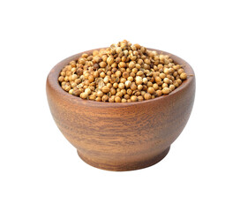 Sticker - Coriander seeds transparent png