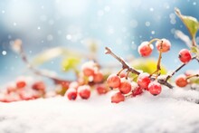 Lingonberries In The Snow, With Visible Ice Particles