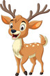 Cartoon deer on white background
