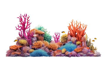 Wall Mural - Beautiful coral reef isolated on transparent background.
