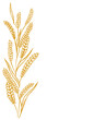 Wheat ears. Hand drawn vector sketch. Place for text. Copy space.
