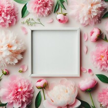 Pink Background With Peony Fresh Flowers And Petals With The Wooden Frame For Text Copy Space. 