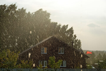 Wall Mural - Rural plot in the rain in summer