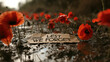 lest we forget sign in field of poppies and muddy battleground, remembrance day 
