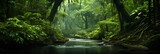 Fototapeta Natura - tropical rainforest river landscape