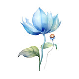 Fototapeta Tulipany - blue flower