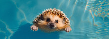 The Hedgehog Is Swimming In The Pool, Generative AI
