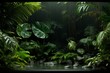 Serene and captivating view of lush green foliage in a mesmerizing low light tropical forest