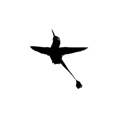 Flying Hummingbird Silhouette, can use Art Illustration, Website, Logo Gram, Pictogram or Graphic Design Element. Vector Illustration
