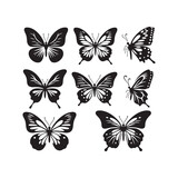 Fototapeta Motyle - Set of Butterfly Silhouette: Graceful Winged Beauties, Fluttering Elegance, and Delicate Insect Shadows for Design Inspiration
