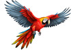 red winged macaw on transparent background