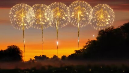 Poster - Shots and explosions of colorful fireworks against the backdrop of the park and sunset. A short video of colorful New Year's fireworks.