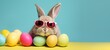 Funny easter concept holiday animal celebration greeting card - Cool cute little easter bunny, rabbit with sunglasses on a table with many colorful painted esater eggs, isolated on blue background