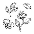leaf flower set element design