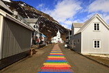 Fototapeta Sawanna - Seyðisfjörður is a town in the Eastern Region of Iceland