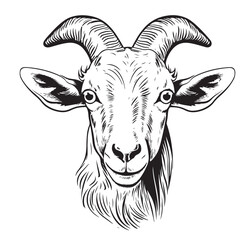 Wall Mural - Cute Farm goat portrait hand drawn sketch Farm cattle Vector illustration.