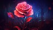 pink rose on a dark background
