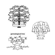 Sketches Of The Genealogical Tree, Roots And Branches, Names, Names And Photos Of Great-grandparents, Parents, Children And Grandchildren. Black And White Vector Drawing EPS 10